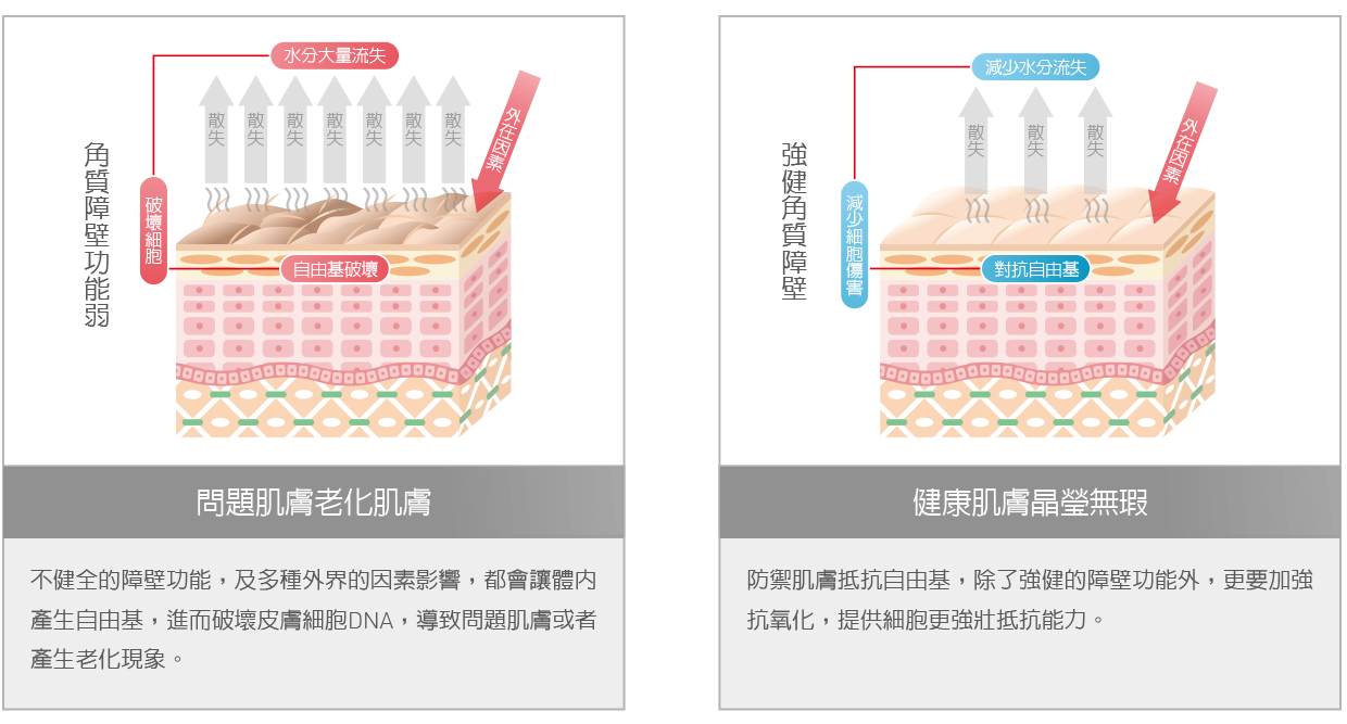 10-配方客製補脂修護-930×480-11