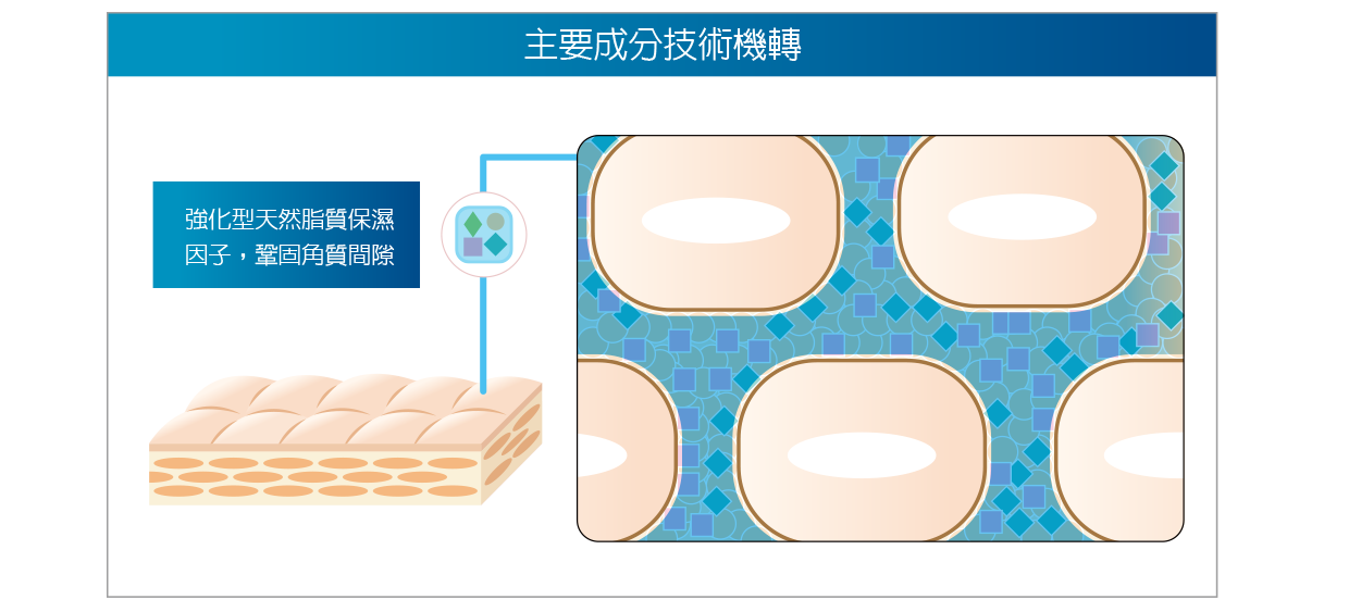 10-配方客製補脂修護-930×480-12